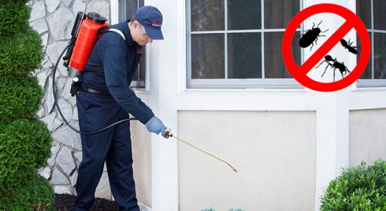 Yıkıkkemer Bit İlaçlama böcek ilaçlama ve haşere kontrolü — ilaclama-tr.com